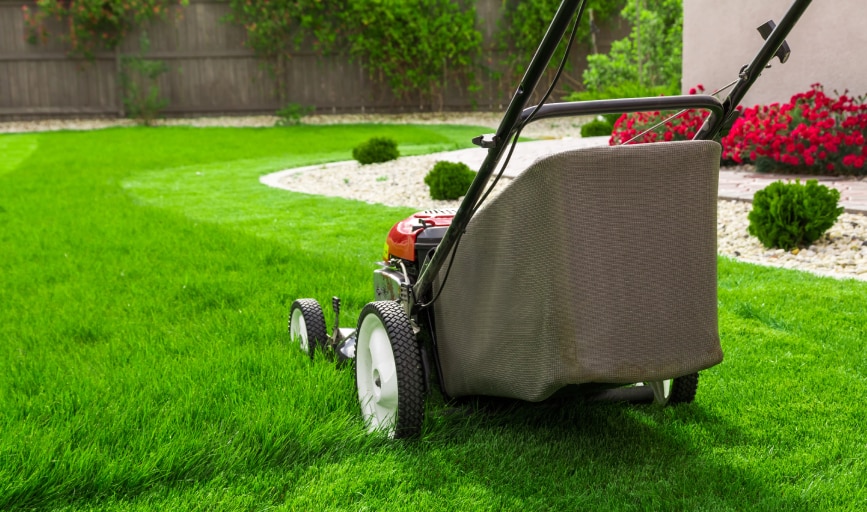 Lawn Mowing